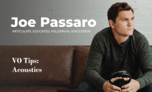 Joe Passaro Voice Actor Acoustics